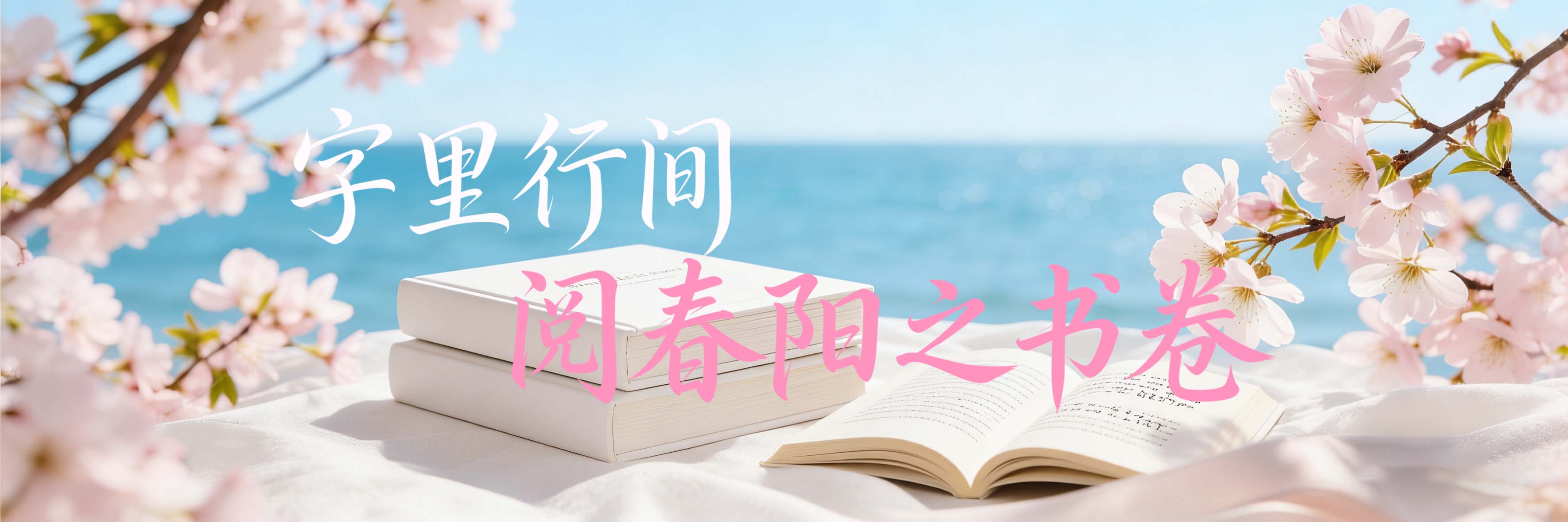 首页 Banner 2